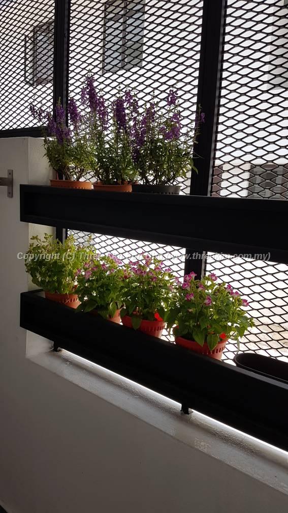 PHOTO-2018-09-24-13-49-22 3